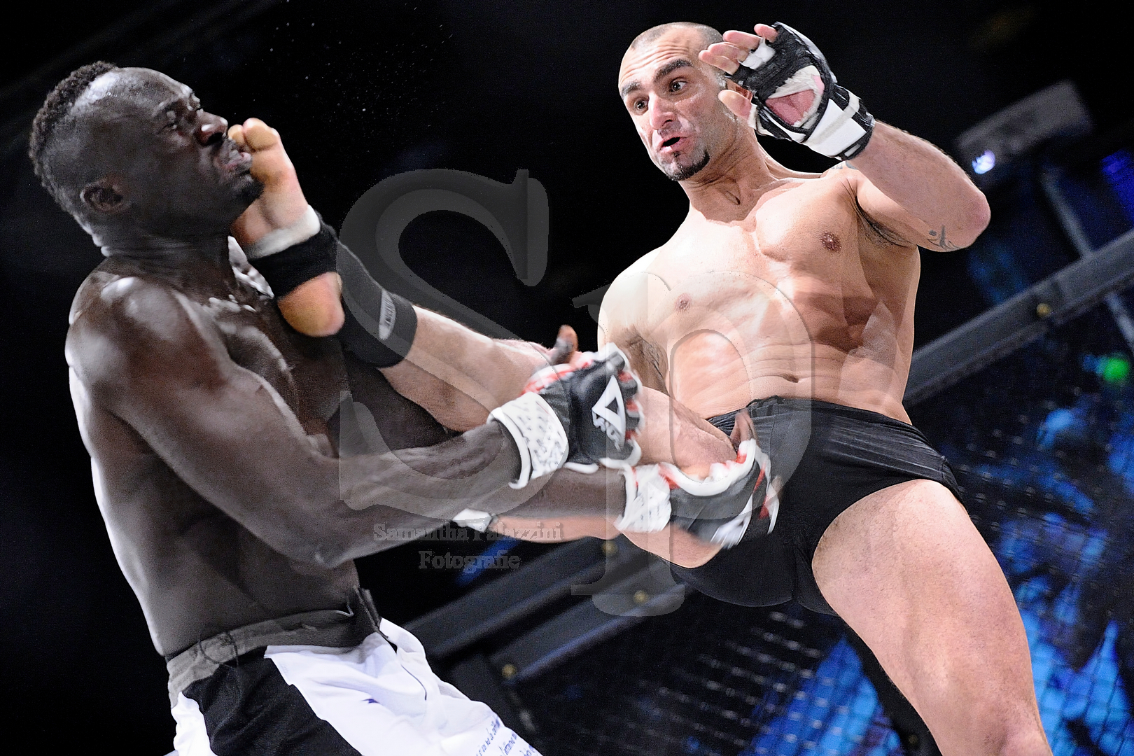 nella foto sport da combattimento MMA in gabbia