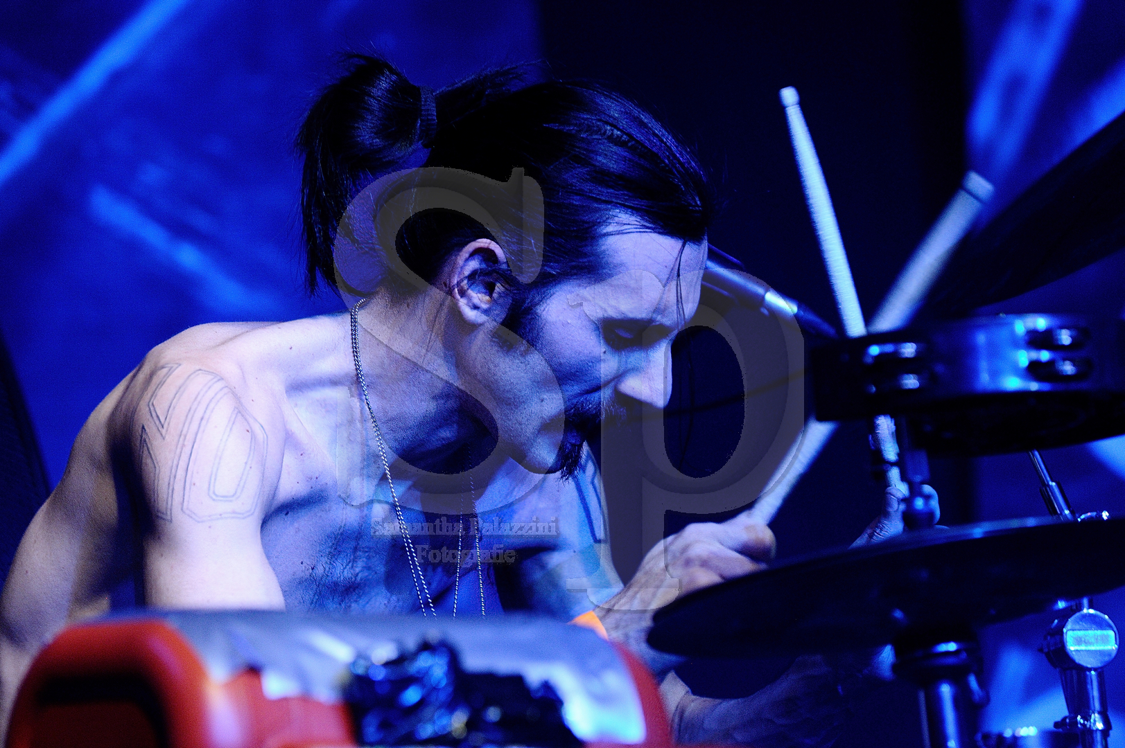 nella foto Zen Circus