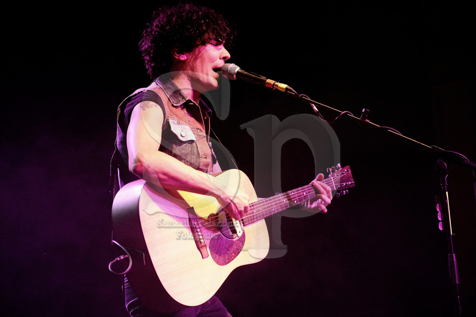 nella foto Zen Circus