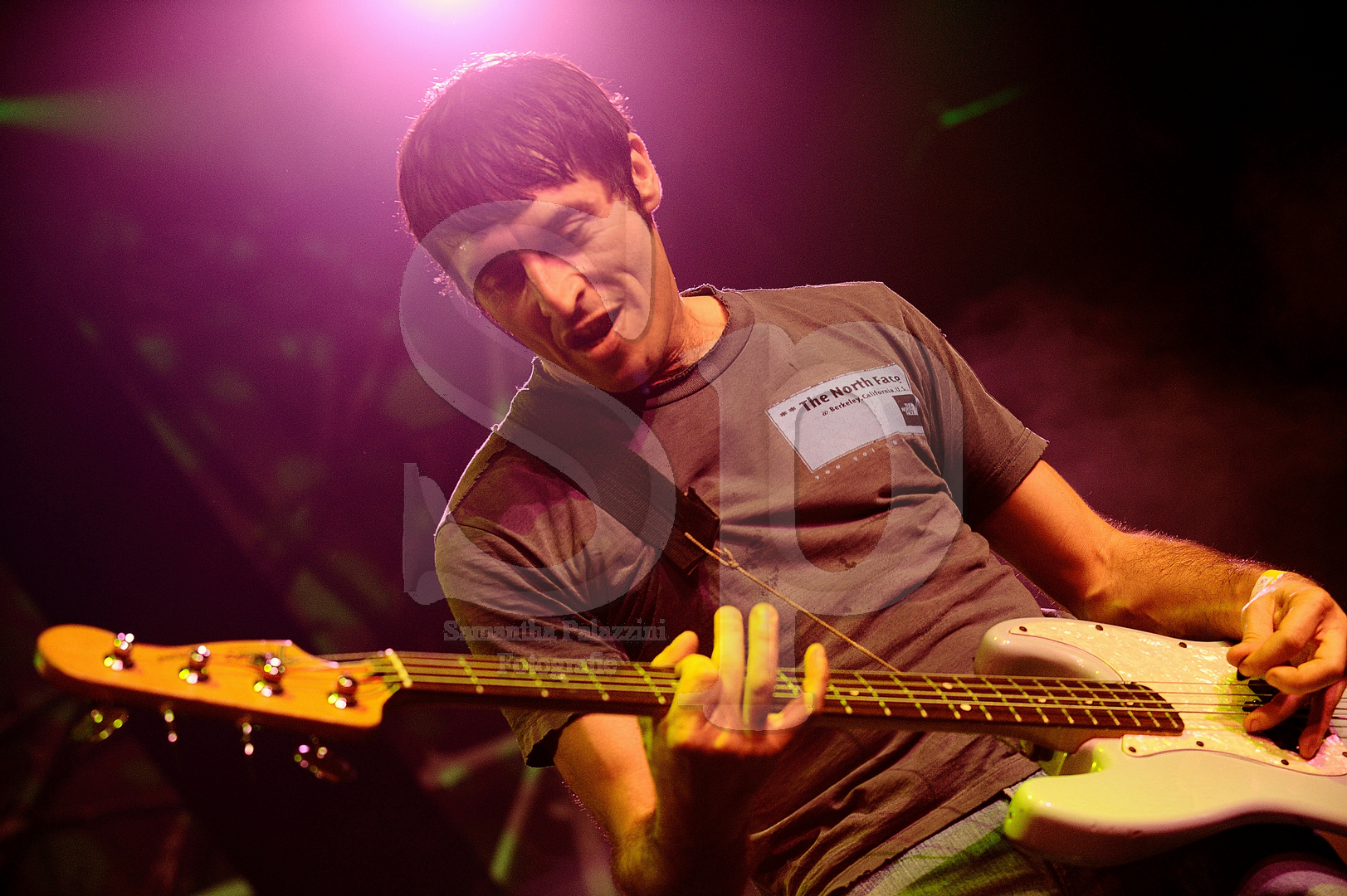 nella foto Zen Circus