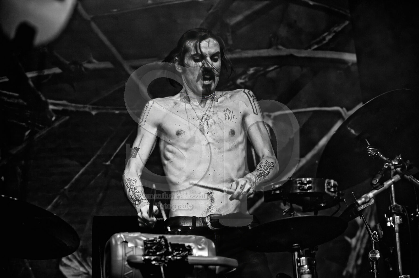 nella foto Zen Circus