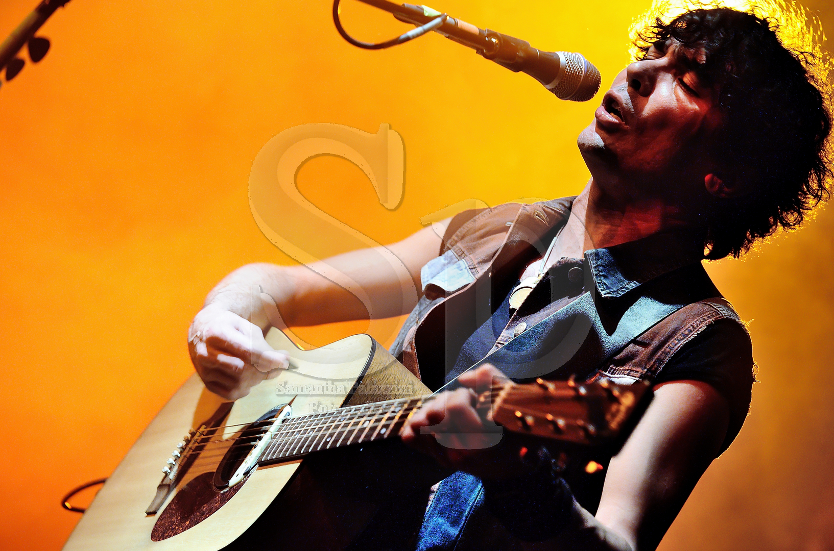 nella foto Zen Circus