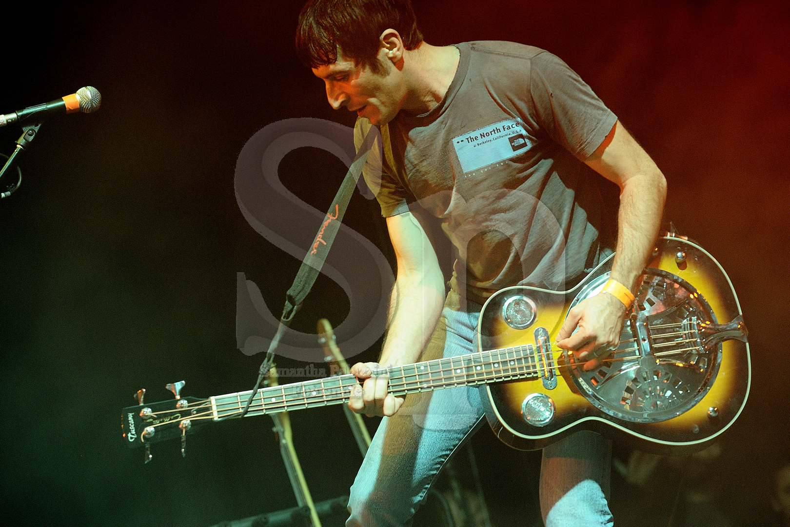 nella foto Zen Circus